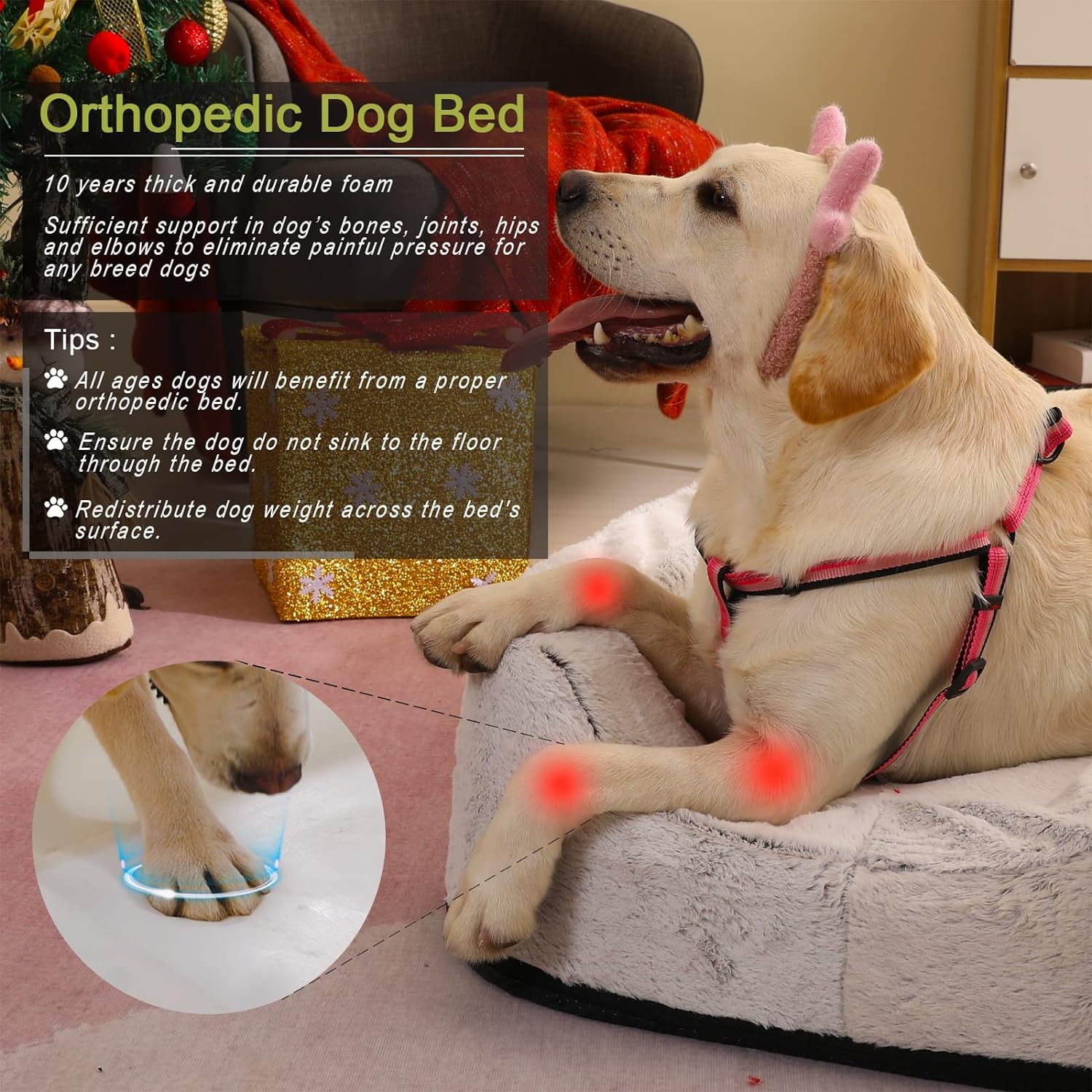 Size Adjustable Dog Bed, Orthopedic Dog Bed with Certipur-Us Foam, Waterproof Dog Bed with Removable Cover, Thick Dog Couch with 3 Side Bolsters for Jumbo Dog, Medium Dog and Large Dog
